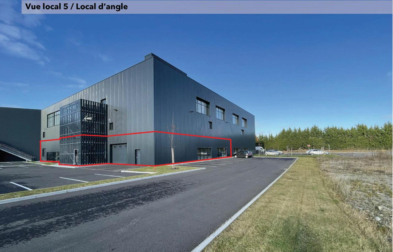 Local d'activité Fegersheim 1249m² Location local d'activité Fegersheim Bas-Rhin OLACT2111492 0